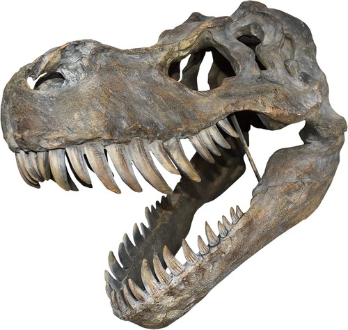 Nemesis now tyrannosaurus rex - nemesis,